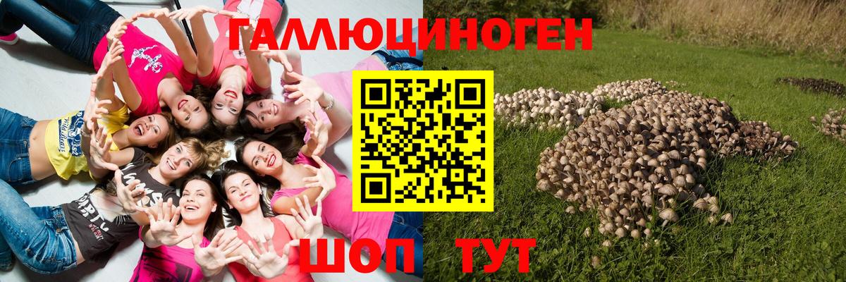 Галлюциногенные грибы MAGIC MUSHROOMS Вологда