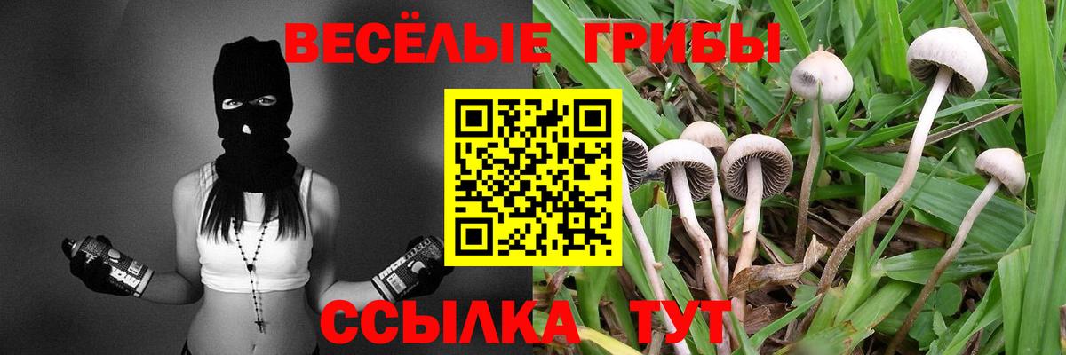 Вологда  Галлюциногенные грибы Magic Shrooms  купить   Вход с VPN 